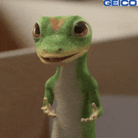 Back And Forth What GIF by GEICO
