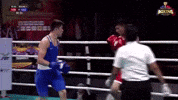 Boxing Box GIF by Bekzatsport