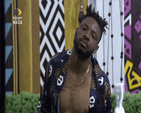 Bbnaija GIF by Big Brother Naija