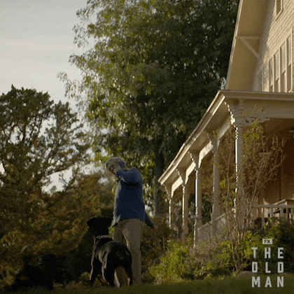 TheOldManFX dog dogs hulu fx GIF