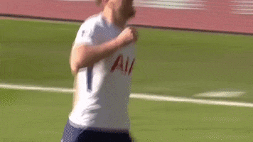 london football GIF by Tottenham Hotspur