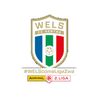 Meister Ligazwa Sticker by FC Hertha Wels