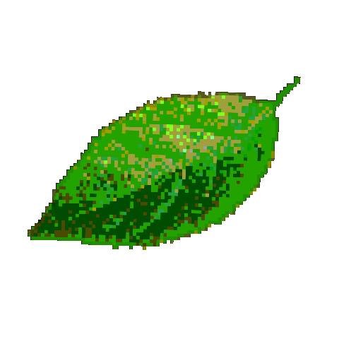 Leaf Leaves Sticker by Hunter