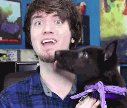 people internet GIF