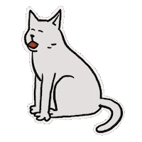Cat Dog Sticker