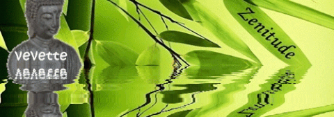 zen GIF