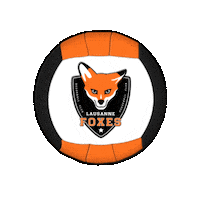swissdodgeball dodgeball lausanne swissdodgeball clothdodgeball Sticker