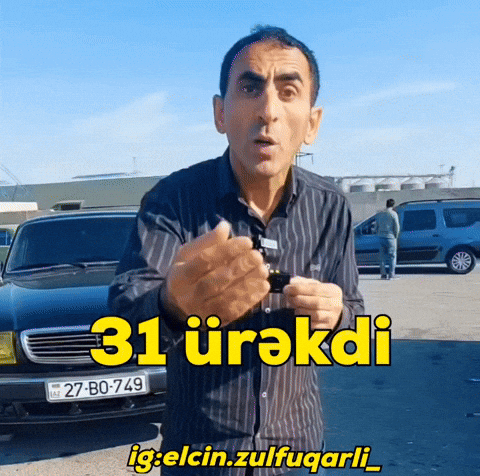 Elçin Zülfüqarlı GIF