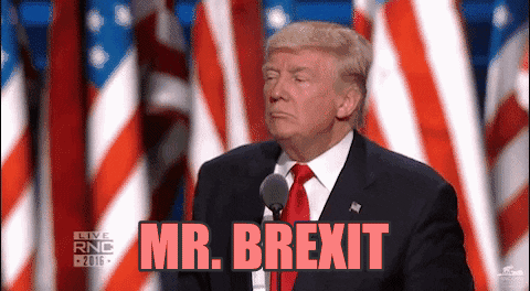 Donald Trump Gop GIF