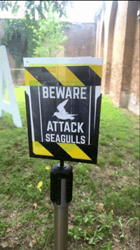 Text Warning GIF by Alex Boya