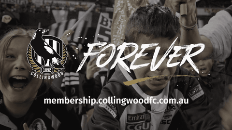 fans crowd GIF by CollingwoodFC