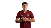 Acsparta Krejci Sticker by AC Sparta Praha