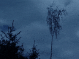 GIF by Jaime Martinez