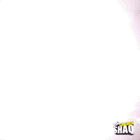 season 1 episode 6 GIF by Big Chicken Shaq