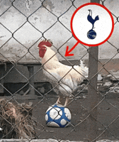 Premiere League Soccer GIF