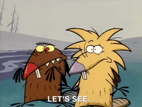 nickrewind nicksplat angry beavers GIF