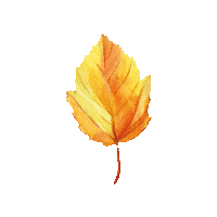 wineandsomething wine tree autumn leaf Sticker