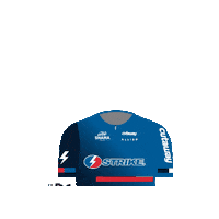 Sticker by USA CRITS