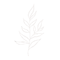 Flowers Цветы Sticker