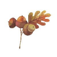 kru4inski vibes fall autumn nut Sticker
