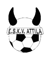 Eindhoven Korfbal Sticker by Eindhovense Studenten KorfbalVereniging Attila