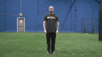 reverse lunge GIF by Hockey Training