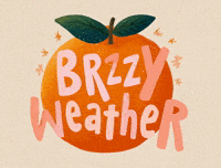 Orlando Fl Orange GIF by Brzzy