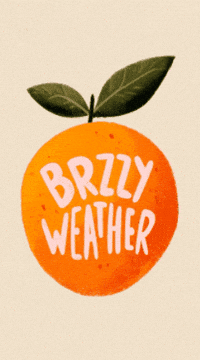 Orange Florida GIF by Brzzy