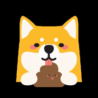 allisonchan2 dog shit shiba jomug9 GIF