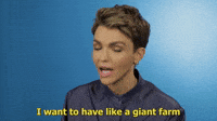 I Want A Giant Farm With A Million Rescue Dogs