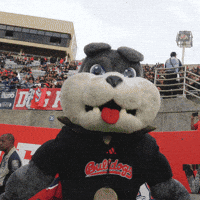 bulldogbread football bulldogs timeout fresno state GIF