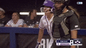High Five Garden GIF by Northwestern Athletics