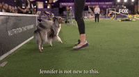 Jennifer Is Not New To This