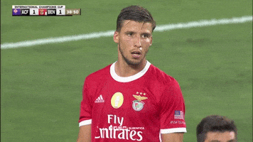 Sl Benfica Ruben GIF by Sport Lisboa e Benfica