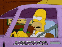 homer simpson GIF