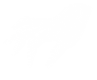 Hand Nail Sticker