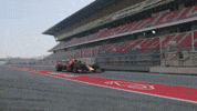 redbullracing car racing race 2019 GIF