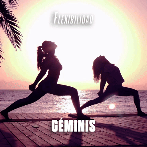 Flexibilidad Géminis