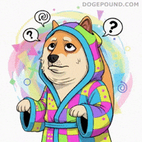 Shiba Inu What GIF by Doge Pound