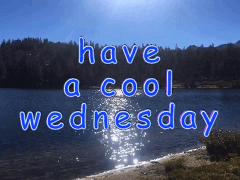Text gif. We see a vista of a lake shining in the sun surrounded by a coast of pine trees. Text, "Have a cool Wednesday."