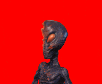 Oh My Gosh Wow GIF by The Horror Section