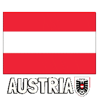 World Cup Football Sticker by Pudgy Penguins
