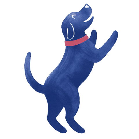 medivetcomunicacion giphyupload GIF