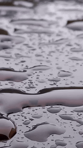 Simongip giphyupload GIF