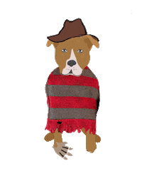 Trick Or Treat Puppy Sticker by Solla Mascotas