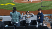 Major League Baseball Sport GIF by MLB