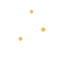 Flower Daisy Sticker