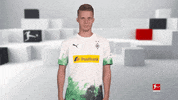 Line Up Reaction GIF by Bundesliga
