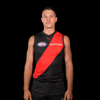 Football Sport GIF by Essendon FC