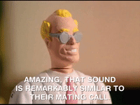 action league now nicksplat GIF